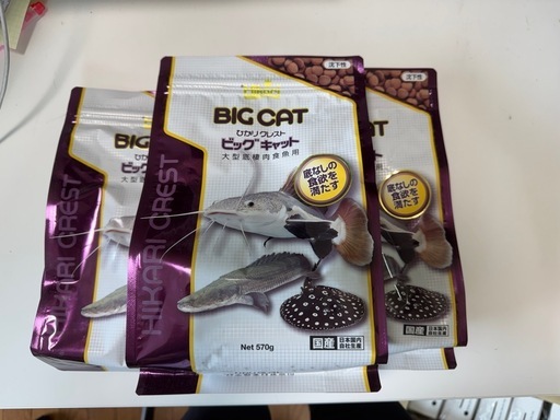 ひかりクレスト　ビッグキャット
 楽天市場】ひかりクレスト ビッグキャットの通販