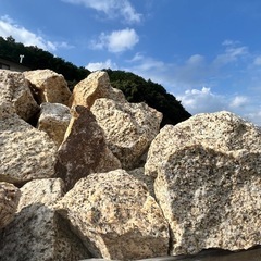 【サビロック】550kg写真の1パレット分です 　の画像