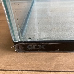 GEX 水槽　60センチ
の画像