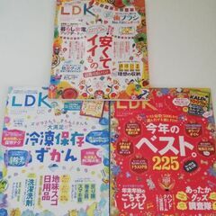 LDK　情報誌　24、25年　11冊の画像