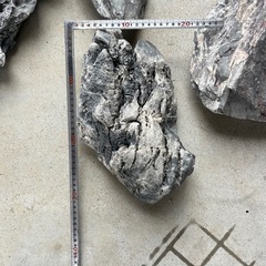龍王石　溶岩石　流木　アクアリウム　レイアウトの画像