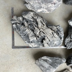 龍王石　溶岩石　流木　アクアリウム　レイアウトの画像