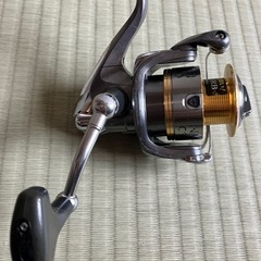 リールの画像