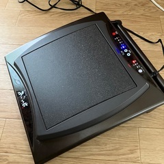 あったか岩の画像