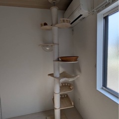 キャットタワーの画像