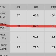 ハーフジップ　スウェットの画像
