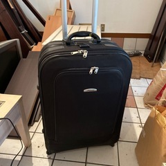 キャリーバッグの画像