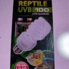爬虫類ライトUVBとソケットセットの画像