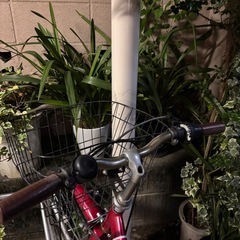 自転車の画像