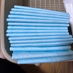 デオドライしつけシート33×45cm 15枚の画像