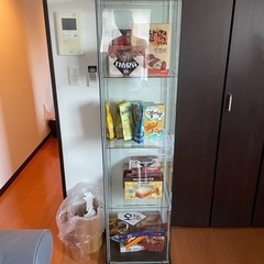 IKEA ディスプレイケース　デトルフ 希少品