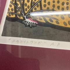 もらいもの絵　ニセゴイシウツボ　作者写真にて確認　縦36.5㎝横　44㎝の画像