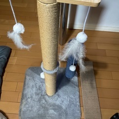 猫グッズいろいろの画像