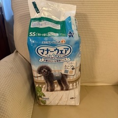 犬のオムツの画像