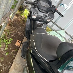 スカイウェイブ250 実動の画像