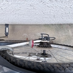 グラフィス 小学生用自転車の画像