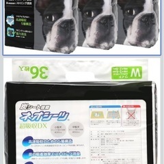 ペットシーツ　Amazon 炭入りネオシーツワイドの画像