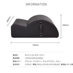  【※10月31日受付終了】ピラティス モーションケアMotionCare スパインコレクターの画像