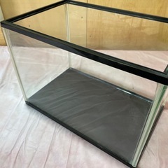 ガラス水槽　約40×28×25cmの画像
