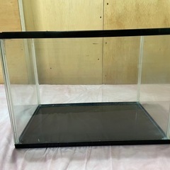 ガラス水槽　約40×28×25cmの画像