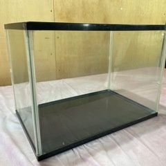 ガラス水槽　約40×28×25cmの画像