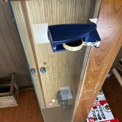 ショーケースの画像
