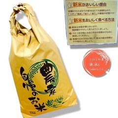 ⑤令和7年度茨城県産コシヒカリ！生産農家です新米出来上がりました10キロ入り100%コシヒカリの画像