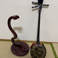 三線 練習用（子ども用）美品✨の画像