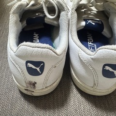puma スニーカー24cmの画像