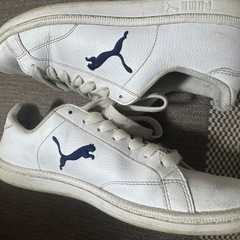 puma スニーカー24cmの画像