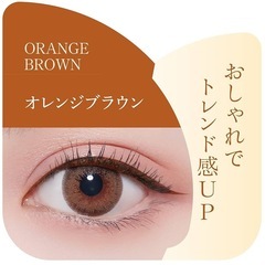 キングダム　リキッドアイライナーWP オレンジブラウンの画像
