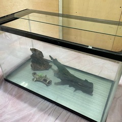 ガラス水槽　約60×36×29cm　の画像