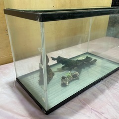 ガラス水槽　約60×36×29cm　の画像