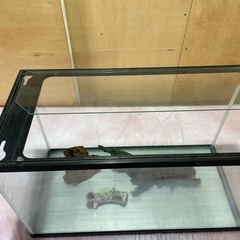 ガラス水槽　約60×36×29cm　の画像