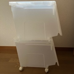 カバコMサイズ　2点セットの画像