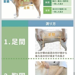  犬 ハーネス 歩行補助 ハーネス 老犬 介護 防水 汚れにくい 4Way ペット 散歩 脚の怪我に手術 快復中 病気 安全帯 手洗いok 通気性 抗菌消臭(オレンジ・L)の画像