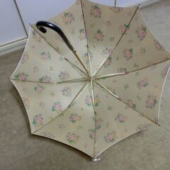 レディース雨傘（長傘）の画像