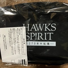 映画 HAWKS SP!RIT －273日の記憶　クリアポーチの画像