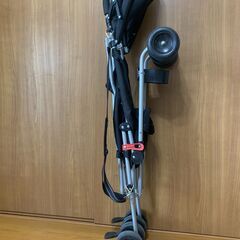 クールキッズ CKバギー  （ブラック）の画像