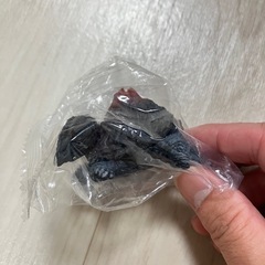 MOUNTAIN TURTLESのガチャガチャ　2個セットの画像
