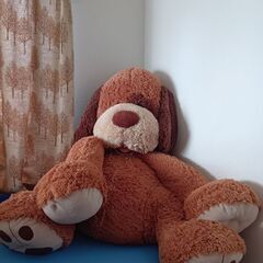 コストコ　超特大ぬいぐるみの画像
