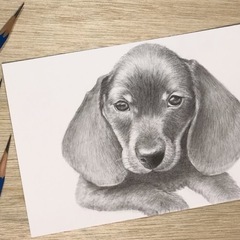 12月開催予定！ 貴方の可愛いペットを作品に！　１Day薫る落書き【Art体験】教室　〜美味しいドリンクを飲みながら〜の画像