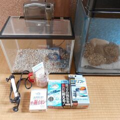 水槽（60cm）セット（海水魚可）の画像