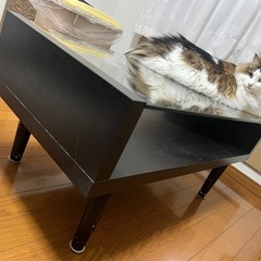 [10/27まで]ガラスセンターテーブルの画像