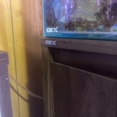 GEX 600 水槽台の画像