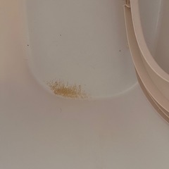 猫トイレの画像