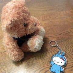 熊のぬいぐるみの画像