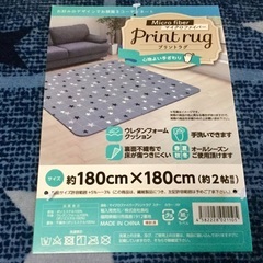 新品マイクロファイバープリントラグ約２帖相当★カーペット★サイズ約180×180ｃm★ウレタンフォームクッション・手洗い可能・の画像