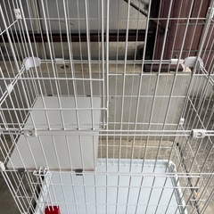 猫用3段ゲージ
の画像
