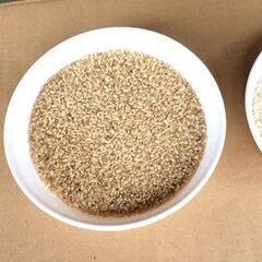 令和7年産　新米　ヒノヒカリ玄米30Kg　低農薬！限定4本の画像